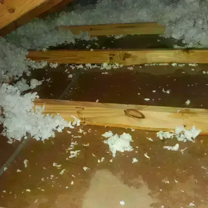 Attic Water Damage in Sussex, VA