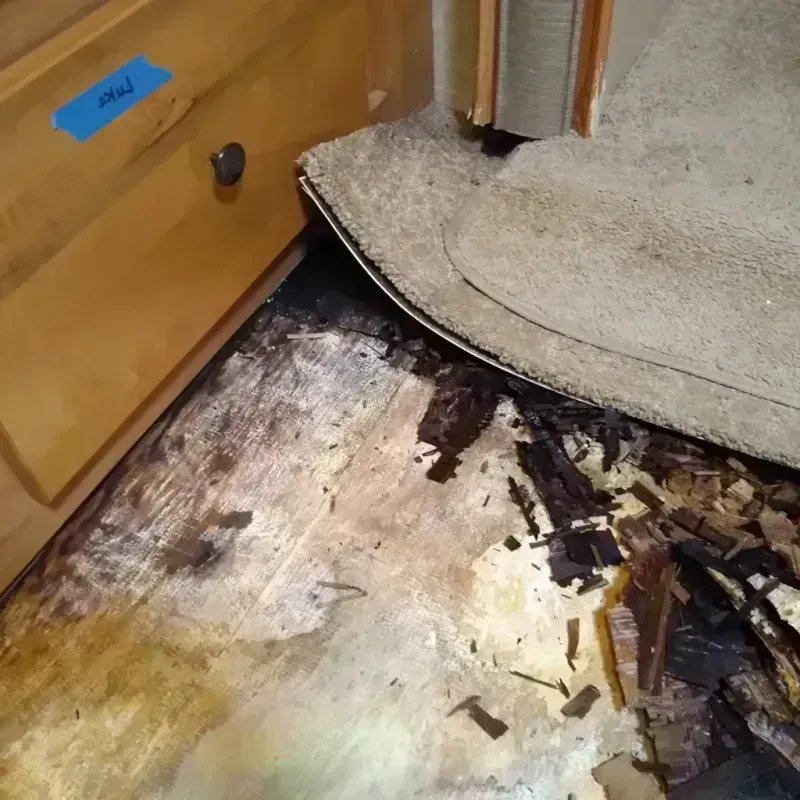 Best Wood Floor Water Damage Service in Sussex, VA